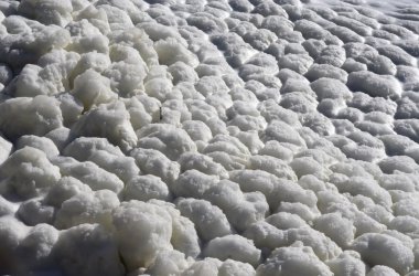 Göl üzerinde köpük