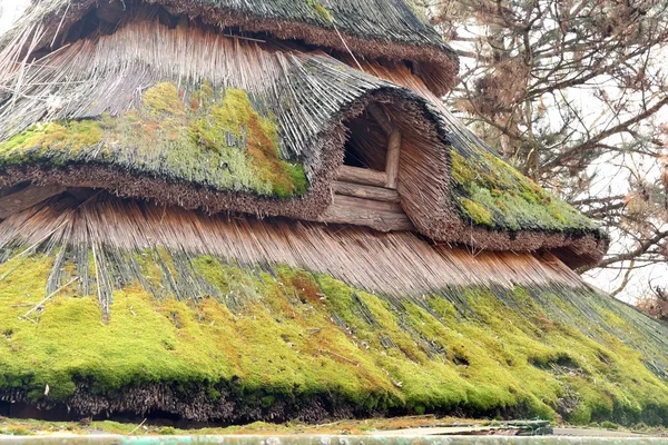 草の家の屋根 — ストック写真