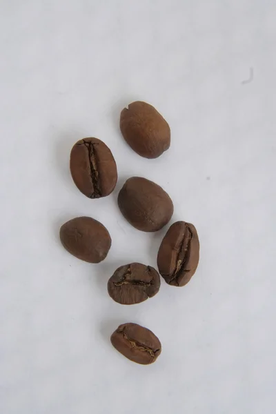 Rostade kaffebönor — Stockfoto