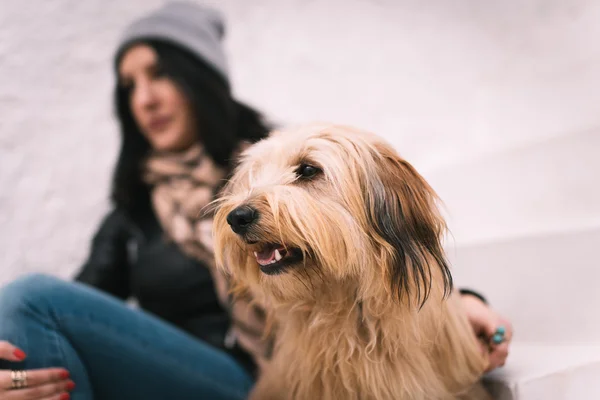 Frau und ihr Hund — Stockfoto