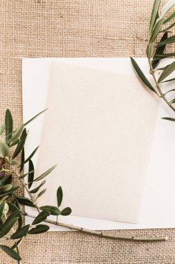 Zeytin dallı, boş kağıt kart. Metnin için boşluk kopyala, düz yat, üst görünüm
