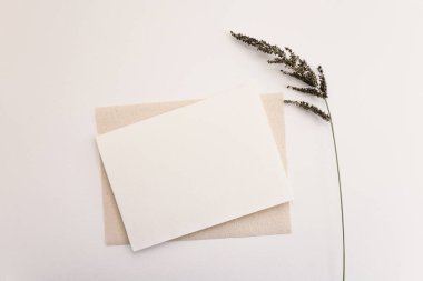 Kuru çiçekli boş kağıt kart. Metnin için boşluk kopyala, düz yat, üst görünüm