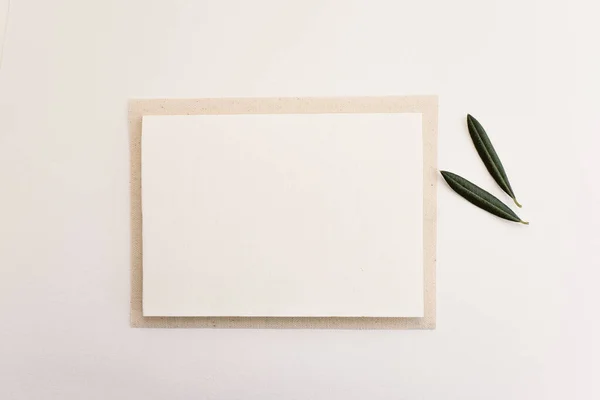 白纸卡片上有橄榄叶 抄写你的文字 顶视图 — 图库照片