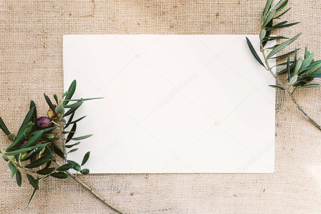 Blank paper card with olive branches. Copy space for your text, flat lay, top view