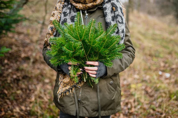 Woman Holding Spruce Tree Branches Forest — Stock Photo, Image