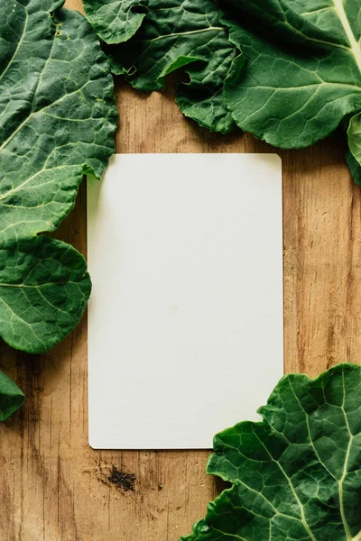 Papier Blanc Feuilles Fraîches Collard Sur Fond Bois — Photo