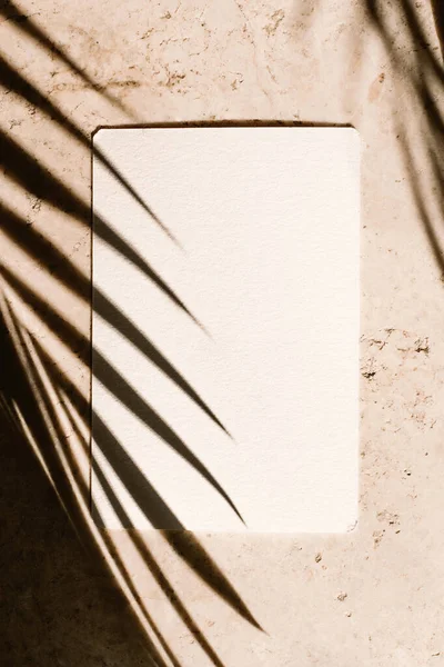 Morceau Papier Avec Ombre Palmier — Photo