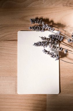 Boş kağıt ve lavanta dalları