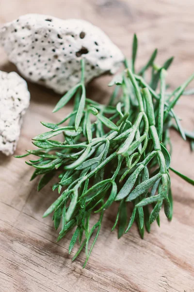 Sea Fennel Wooden Boar — Stock Photo, Image