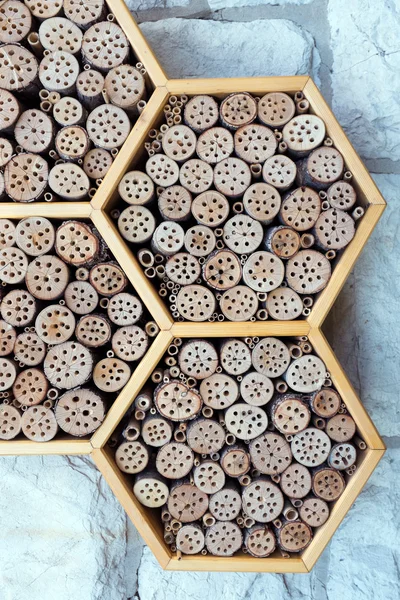 Een wild bee hotel — Stockfoto