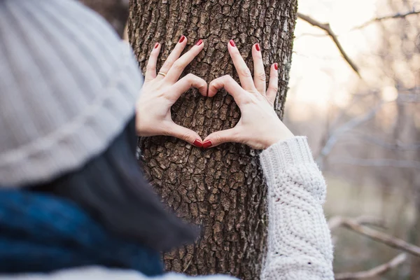 Heart — Stock Photo, Image