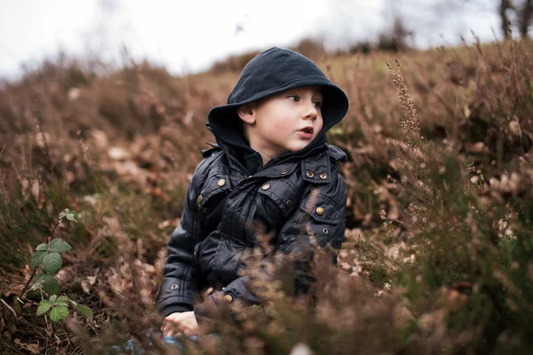 Tempo in natura — Foto Stock