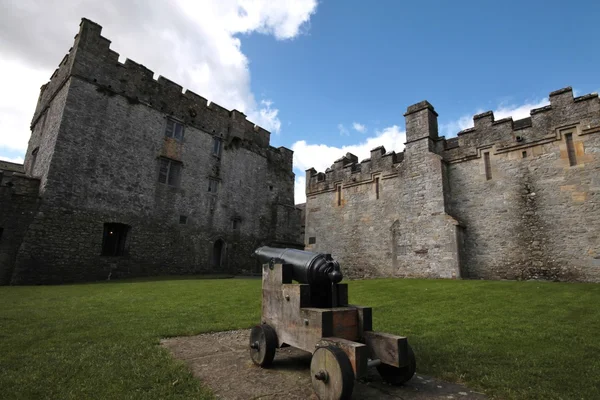 Cahir Castle se zahradou, Irsko — Stock fotografie