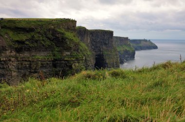 Cliffs moher peyzaj, İrlanda