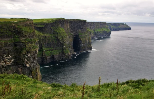Klippen van moher landschap, Ierland — Stockfoto