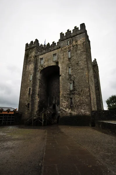 Bunratty hrad a Durty Nelly pub v Bunratty village, Irsko — Stock fotografie
