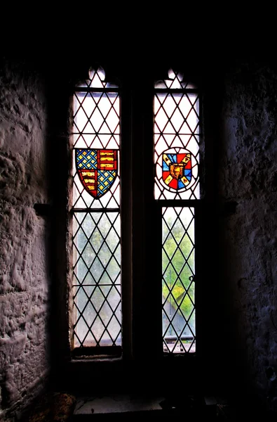 Bunratty Castle window detail — Stock Photo, Image