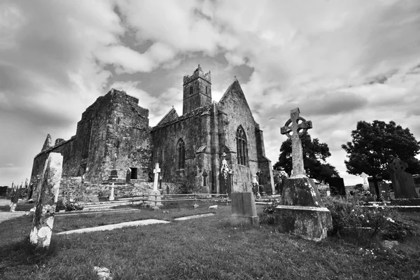 Rovine dell'Abbazia di Quin, Irlanda — Foto Stock