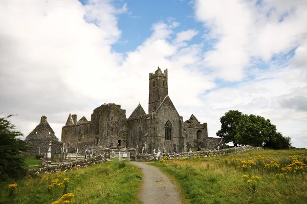 Quin Manastırı Harabeleri, İrlanda — Stok fotoğraf