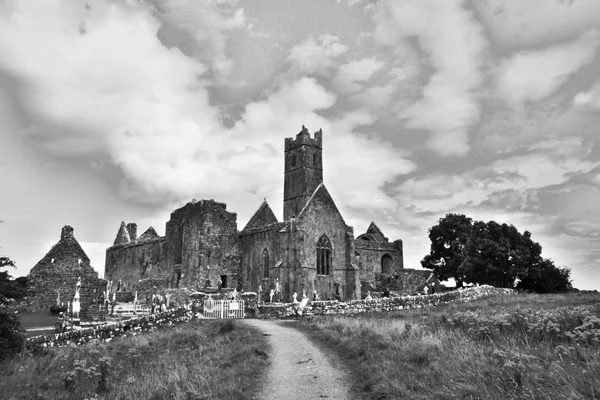 クイン修道院跡、アイルランド — ストック写真