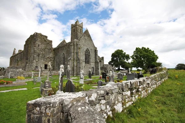 Quin Abbey ruins, Ireland — Stock Photo, Image