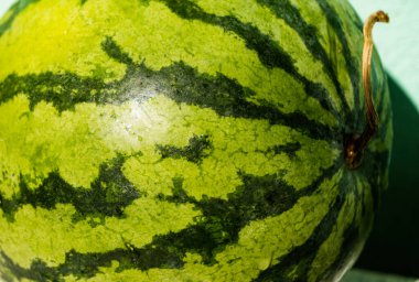 Fresh fruit green watermelon on wooden background in daylight.