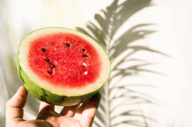 Fresh ripe juicy watermelon on a color background.