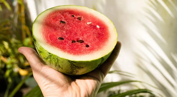 Fresh ripe juicy watermelon on a color background.