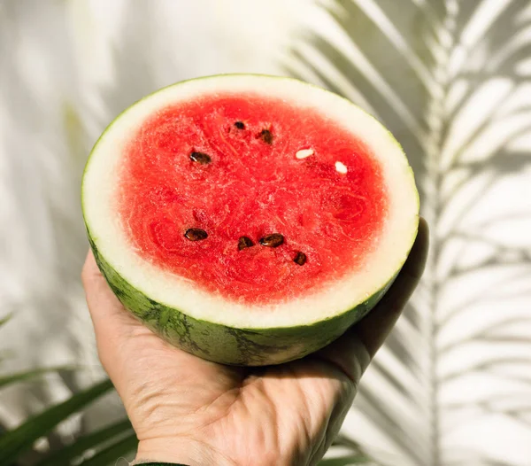 Fresh ripe juicy watermelon on a color background.