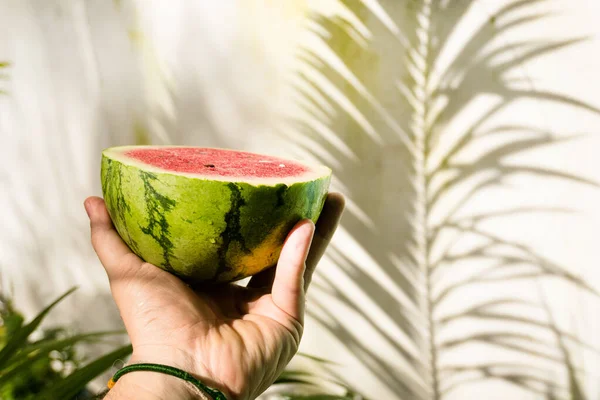 Fresh ripe juicy watermelon on a color background.
