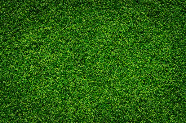 yeşil çimen dokusu arkaplanı