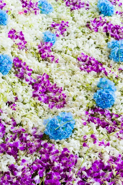 Parede de fundo de orquídea para fundo — Fotografia de Stock