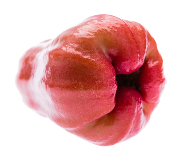 Rose äpplen eller chomphu på vit bakgrund — Stockfoto