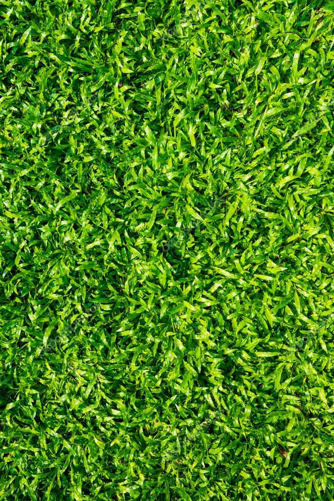 背景の緑の草のテクスチャ ストック写真 C Tratong 123042016 背景の緑の草のテクスチャ ストック写真 C Tratong 123042016