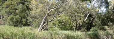 Güney Avustralya 'daki bir yolun manzarası.