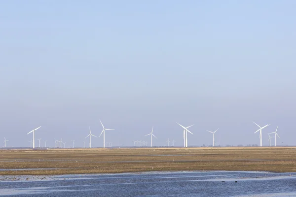 Turbiny wiatrowe i błękitne niebo nad eempolder w Holandii — Zdjęcie stockowe