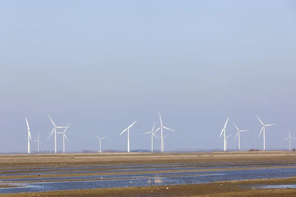 Wind turbines and blue sky above eempolder in the netherlands — Stock Photo, Image