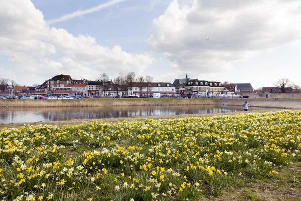 Flores da primavera no porto frente da cidade holandesa velha harderwijk — Fotografia de Stock