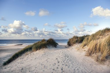 kum ve dunes Vlieland bl ile Hollanda beach yakınındaki