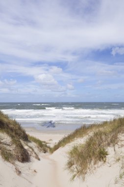 kumullar ve Vlieland n adanın Kuzey Denizi üzerinden görünüm