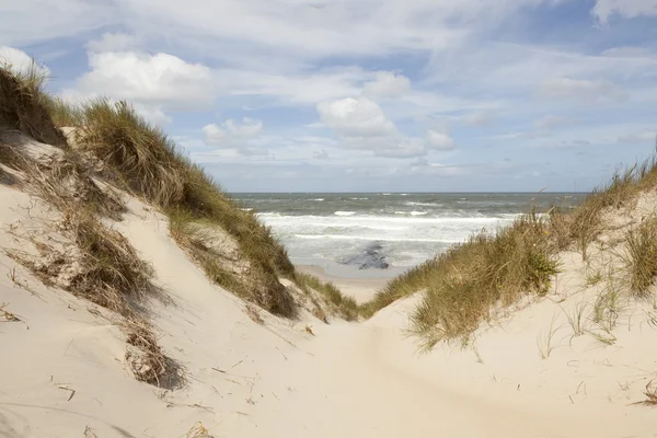 Dünen und Blick über die Nordsee auf der Insel Vlieland im Norden — Stockfoto