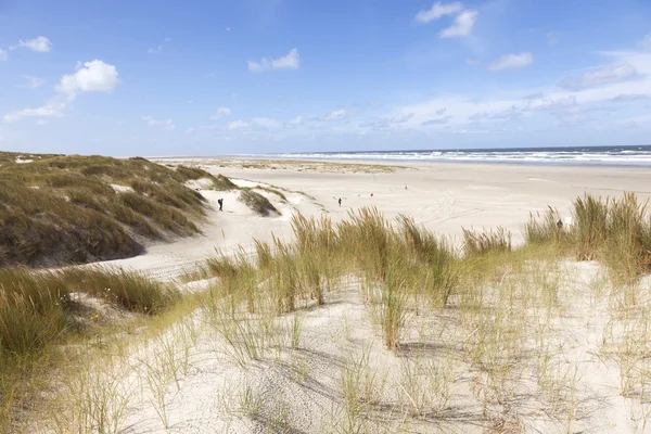 dunes and view over north sea on the island of vlieland in the n