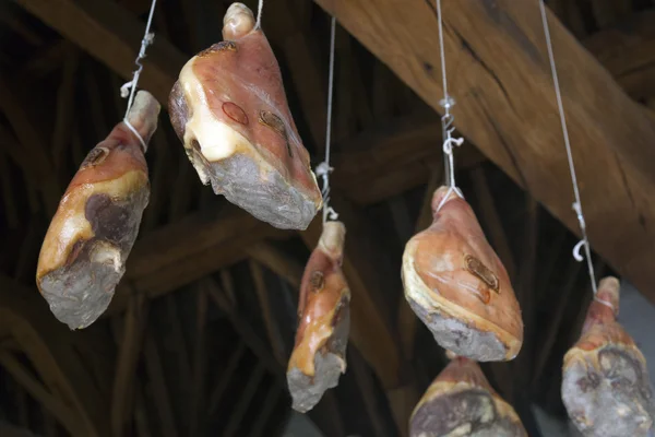 Szynki powiesić z bardzo stary drewniany strop w Gandawie hala mięsna — Zdjęcie stockowe