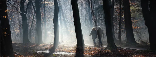 Pareja camina en hermoso bosque de invierno soleado cerca de utrecht en los Países Bajos —  Fotos de Stock