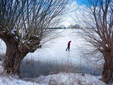 Adam Hollanda 'da Wijk bij Duurstede yakınlarında nehir kenarındaki su taşkın camlarında kayıyor.