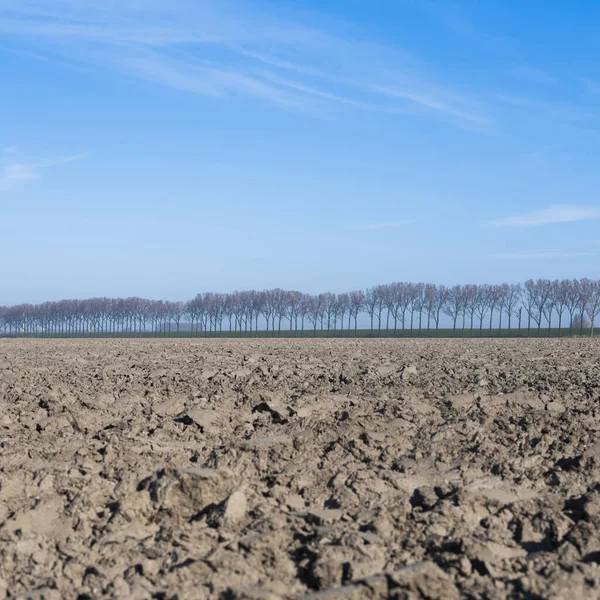 オーバーフラッキー島のオランダで初春に新たに耕された畑 — ストック写真