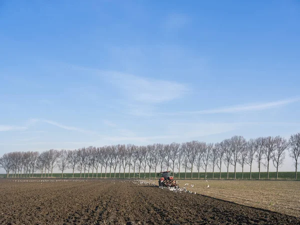 Tractor con arado en el campo a principios de primavera en los Países Bajos en la isla de goeree en overflakkee —  Fotos de Stock