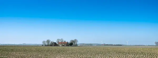 Casa e campos agrícolas na província holandesa da Zelândia sob o céu azul — Fotografia de Stock