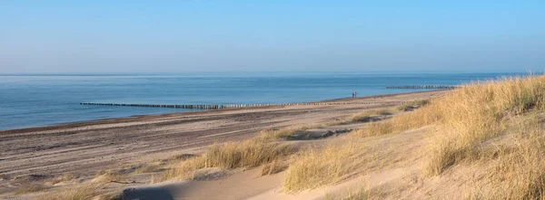 Dunes and almost deserted beach on dutch coast near renesse in zeeland under blue sky — Stock Photo, Image