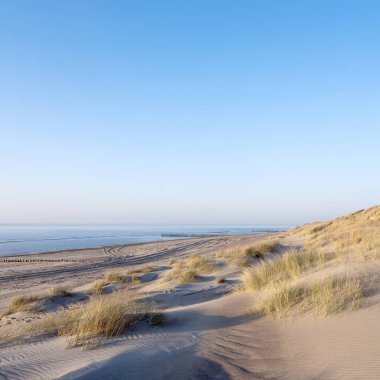 Kum tepeleri ve terk edilmiş kumsallar Kuzey Denizi 'nin Hollanda kıyılarında Zeeland eyaletinde.